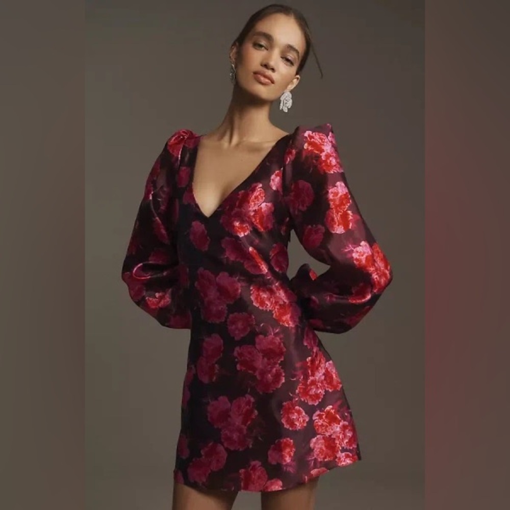 New Anthropologie BHLDN Aliana Long-Sleeve V-Neck Floral Organza Mini Dress sz S